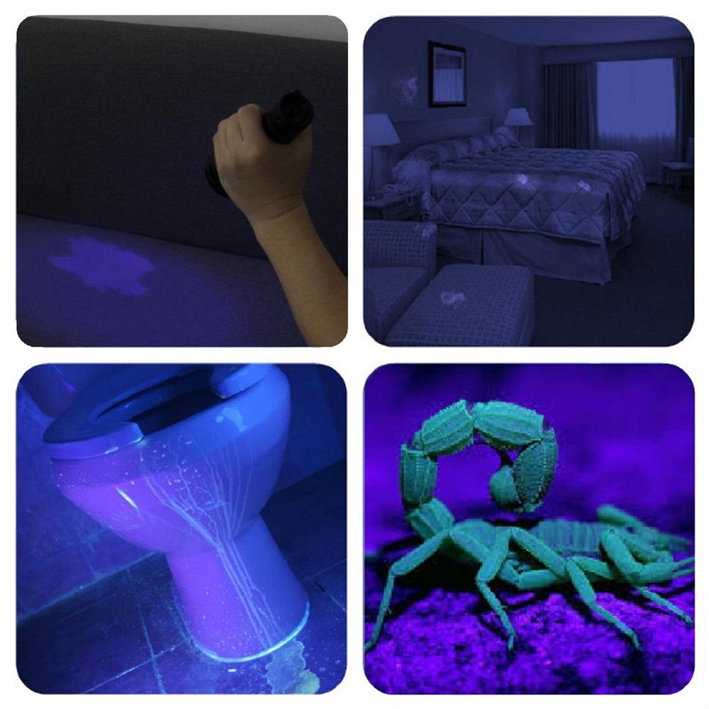UV Mini Flashlight