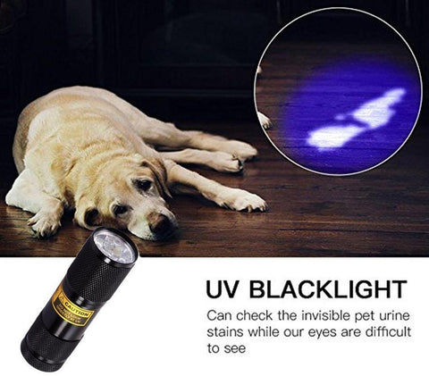 UV Mini Flashlight