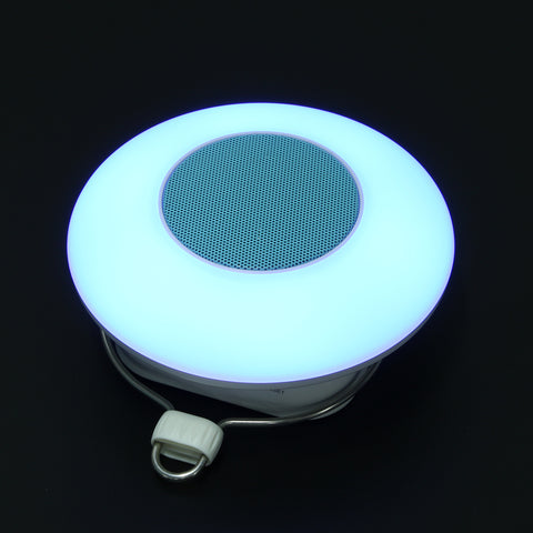 Bluetooth Portable Hanging Lamp