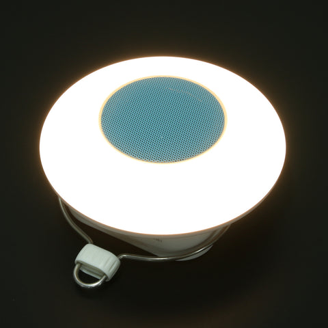 Bluetooth Portable Hanging Lamp